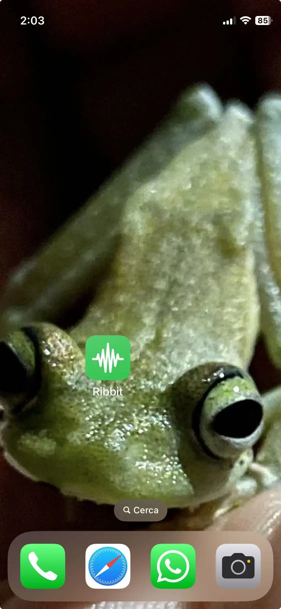 Image of Ribbit shortcut on an iPhone's home page