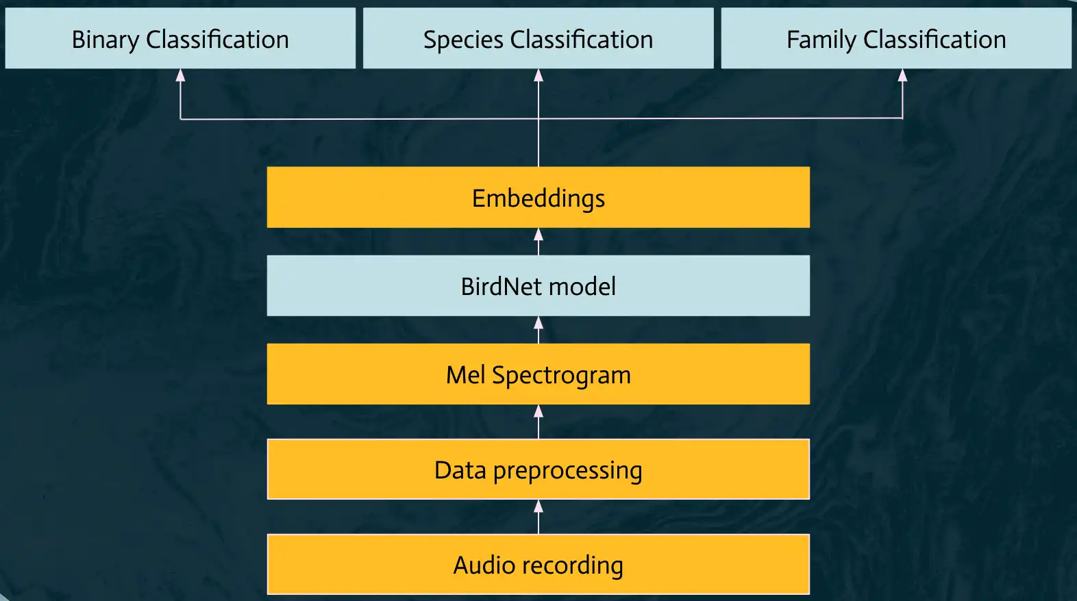 Ribbit architecture