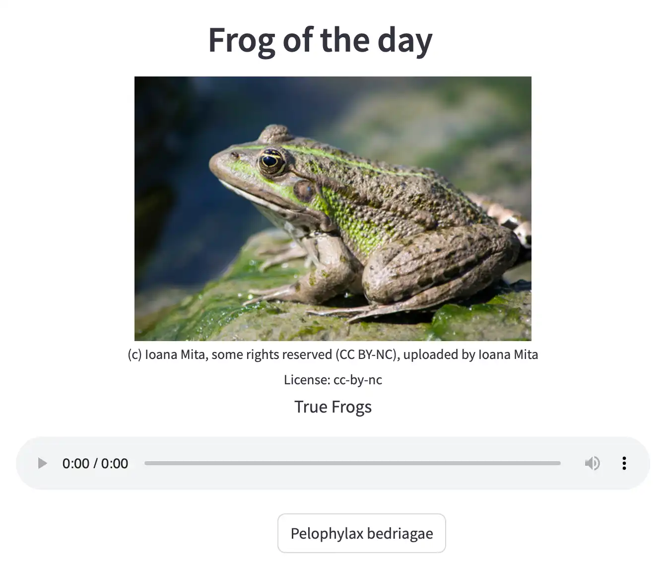 Record your frog or upload a recording