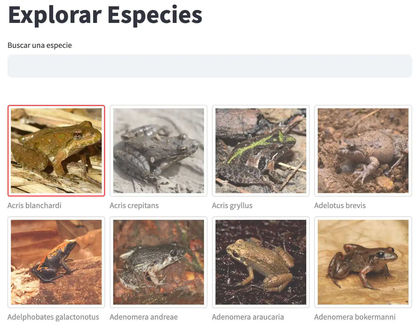 Explorar especies