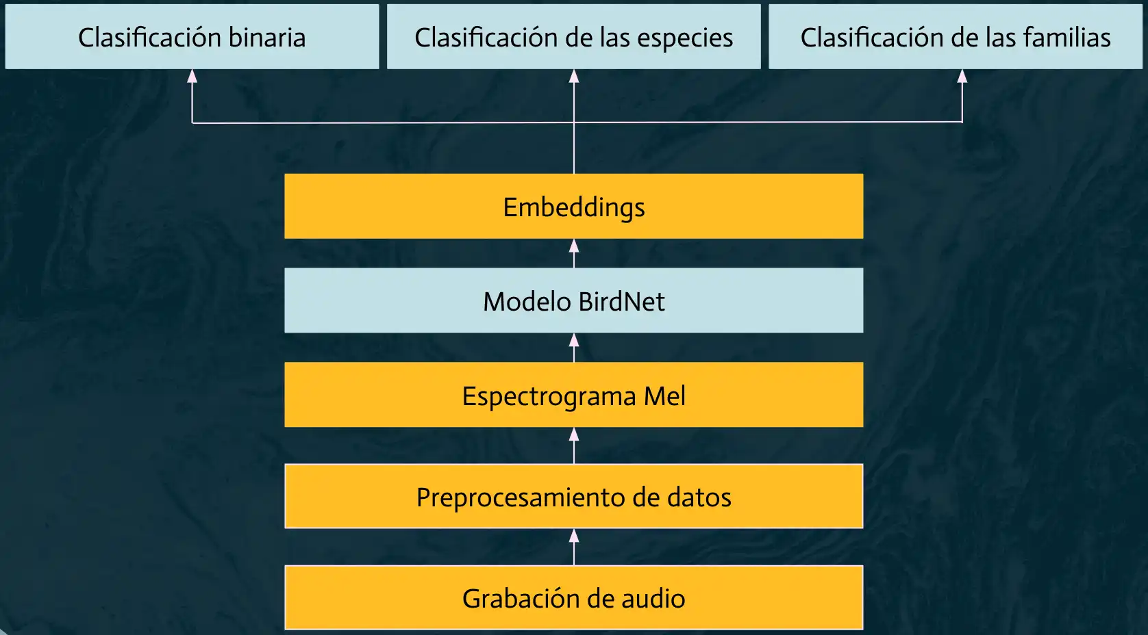 Arquitectura de Ribbit