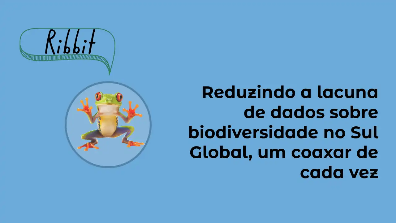 Slogan do Ribbit